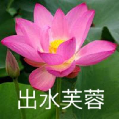 天逆手游下载